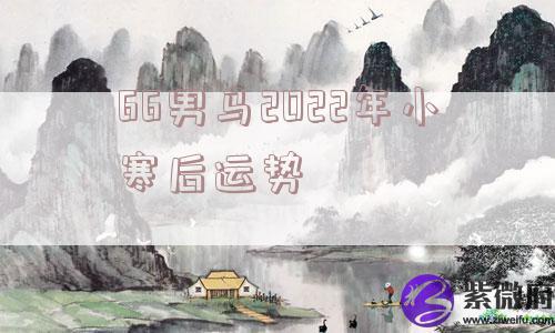 66男马2022年小寒后运势