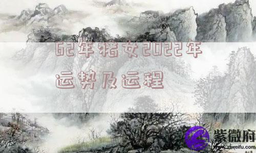 62年猪女2022年运势及运程