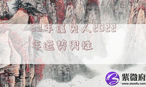 63年属兔人2022年运势男性