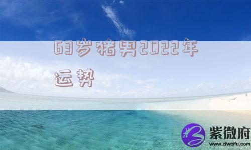 63岁猪男2022年运势