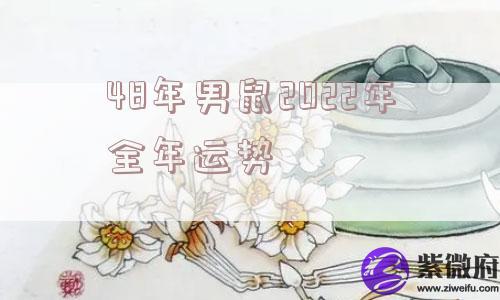 48年男鼠2022年全年运势