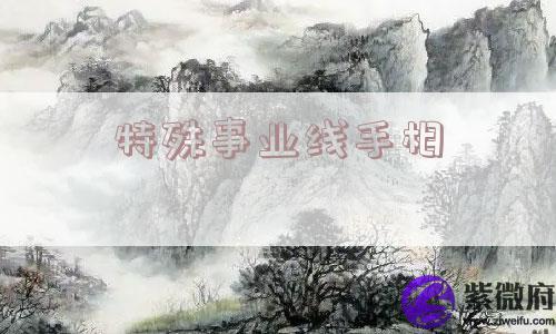 特殊事业线手相