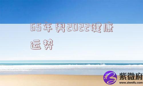 65年男2022健康运势