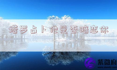 塔罗占卜他是否暗恋你