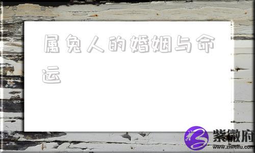属兔人的婚姻与命运
