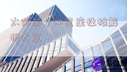 太阳落十二星座性格解析大全