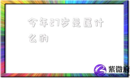 今年27岁是属什么的