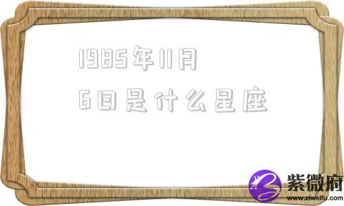 1985年11月6日是什么星座