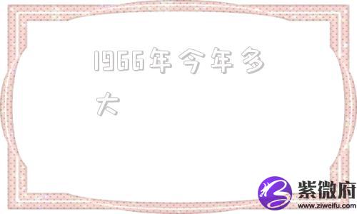 1966年今年多大