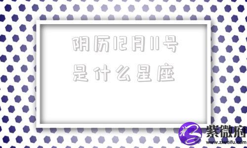 阴历12月11号是什么星座