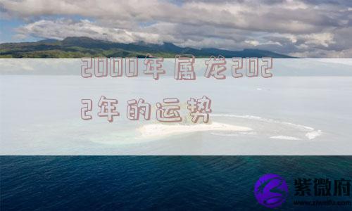 2O00年属龙2022年的运势