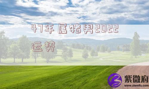 47年属猪男2022运势