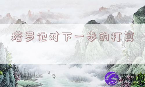 塔罗他对下一步的打算