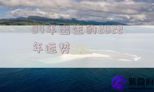 04年出生的2022年运势