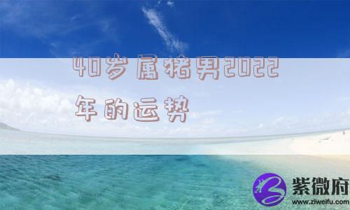 40岁属猪男2022年的运势