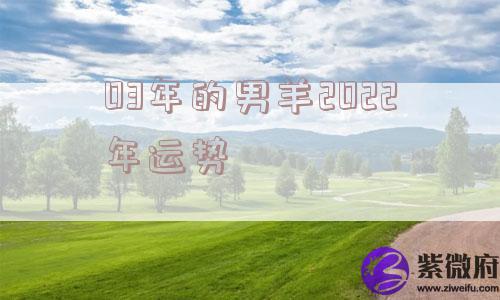 03年的男羊2022年运势