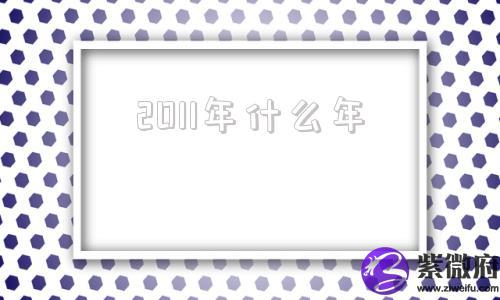 2011年什么年