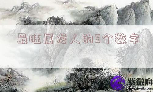 最旺属龙人的5个数字