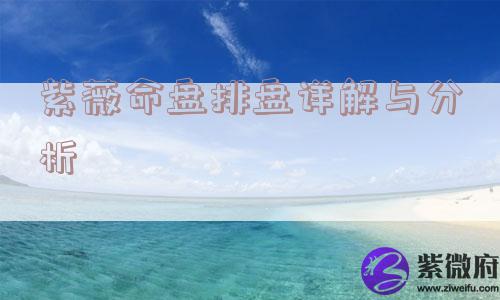 紫薇命盘排盘详解与分析