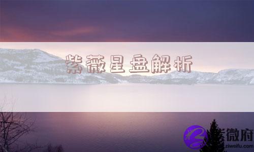 紫薇星盘解析