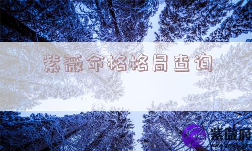 紫薇命格格局查询