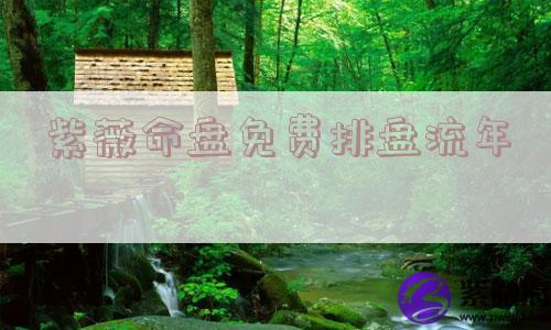 紫薇命盘免费排盘流年
