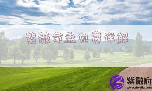紫薇命盘免费详解