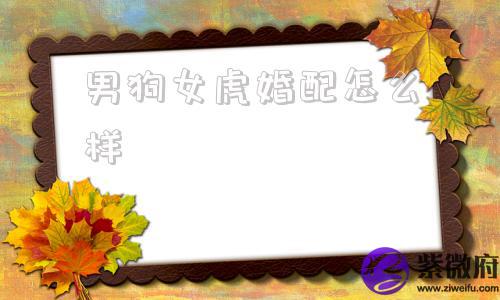 男狗女虎婚配怎么样