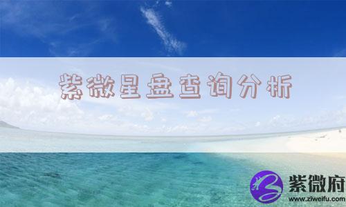 紫微星盘查询分析