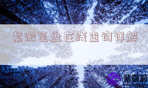紫微星盘在线查询详解
