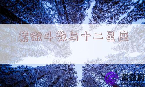紫微斗数与十二星座