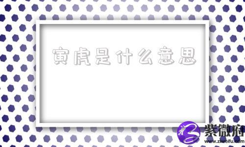 寅虎是什么意思