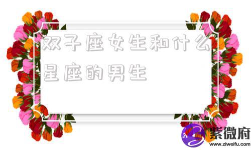 双子座女生和什么星座的男生