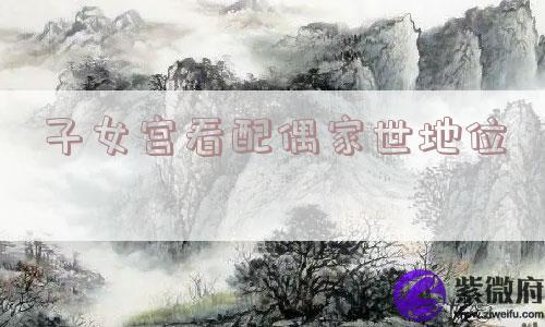 子女宫看配偶家世地位