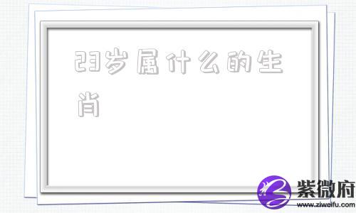 23岁属什么的生肖