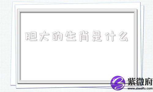 胆大的生肖是什么