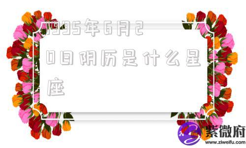 1995年6月20日阴历是什么星座