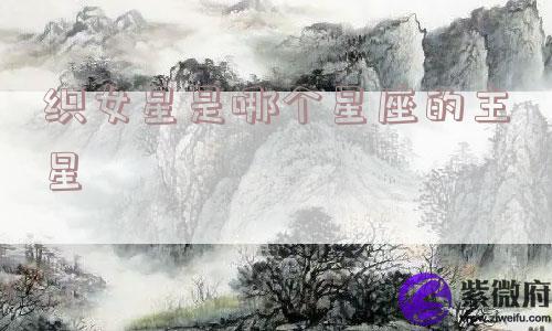 织女星是哪个星座的主星