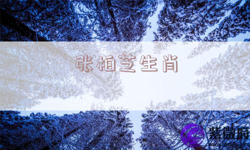 张柏芝生肖