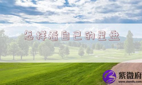 怎样看自己的星盘