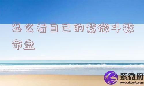 怎么看自己的紫微斗数命盘
