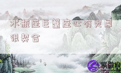 水瓶座巨蟹座心有灵犀很契合