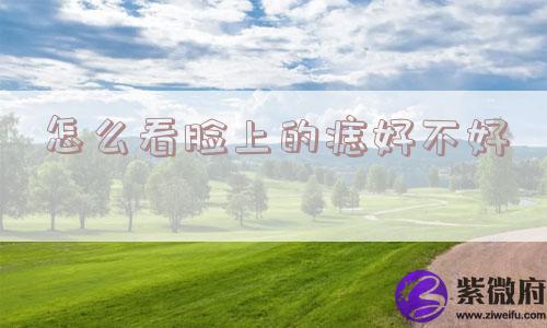 怎么看脸上的痣好不好