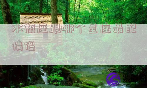 水瓶座跟哪个星座最配情侣