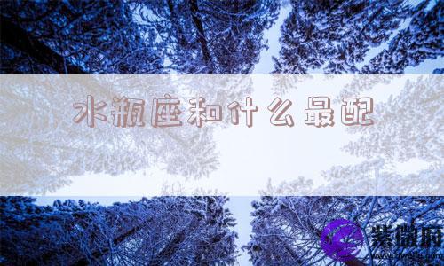 水瓶座和什么最配