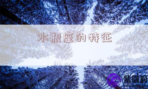 水瓶座的特征