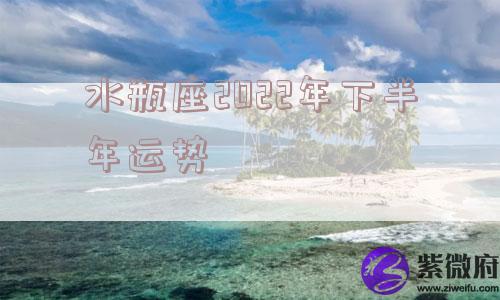 水瓶座2022年下半年运势
