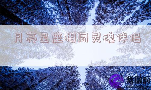 月亮星座相同灵魂伴侣