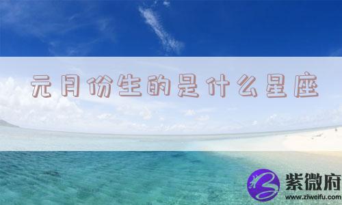 元月份生的是什么星座