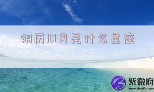 阴历10月是什么星座